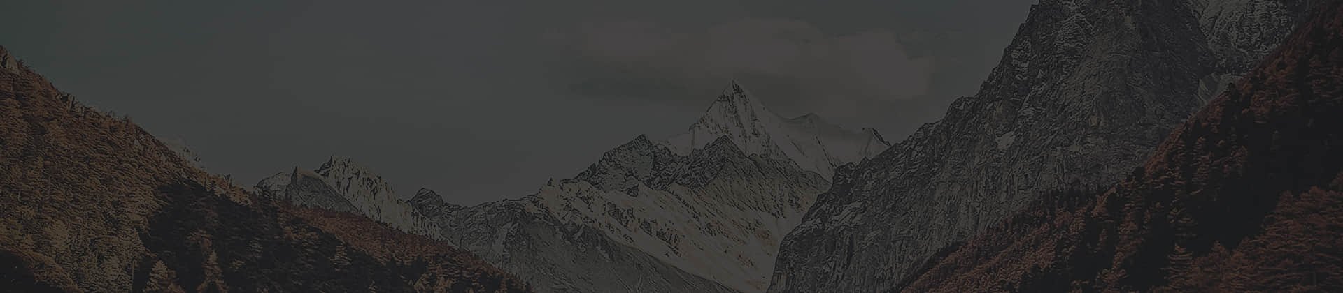 华体会官方版网站登录入口